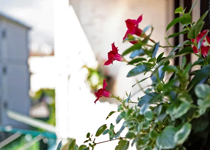 Apartament Casa Di Maddalena *